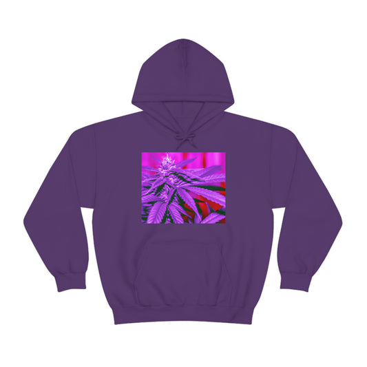 Athena Greenspun - Cannabis Hoodie