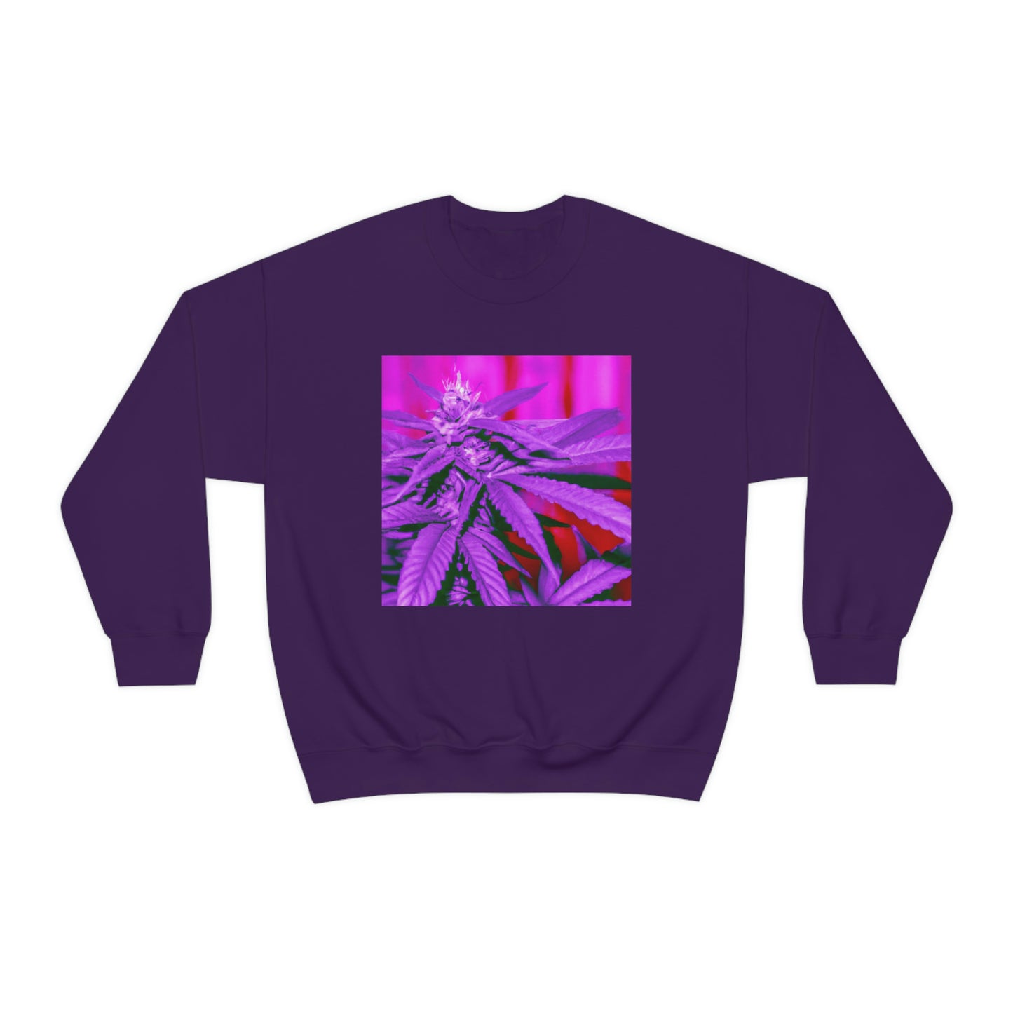 Athena Greenspun - Cannabis Sweatshirt